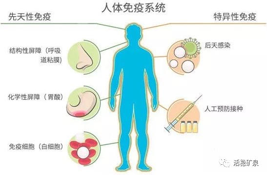 健康谈丨给细胞健康水，才能让细胞健康起来！