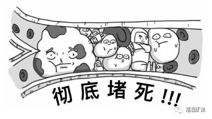 健康谈丨血管洗个澡，血管干净“百岁不老”~