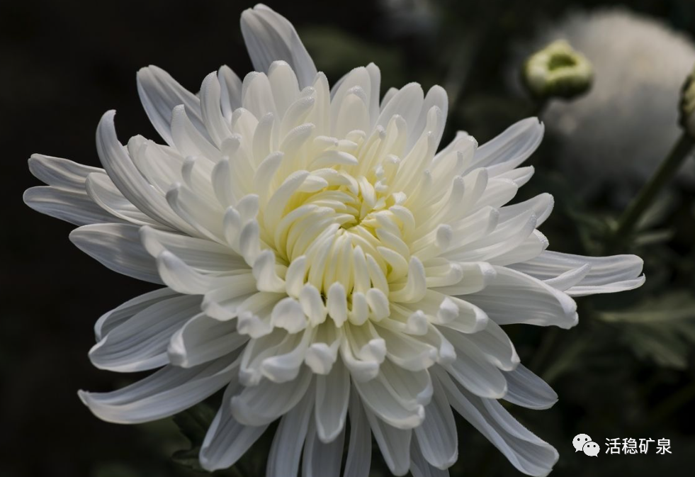 【清明节】