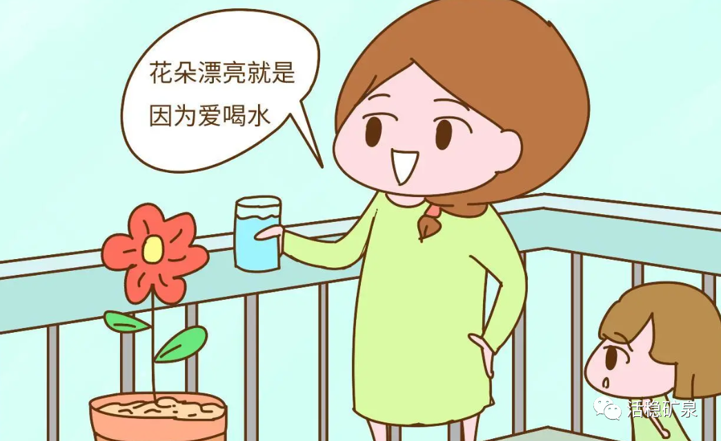 这样喝水，一个月瘦十斤！