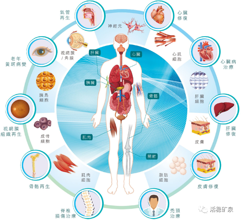 健康谈丨给细胞健康水，才能让细胞健康起来！