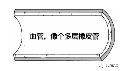 健康谈丨血管洗个澡，血管干净“百岁不老”~