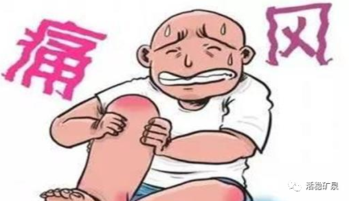 药补不如食补，食补不如水补！
