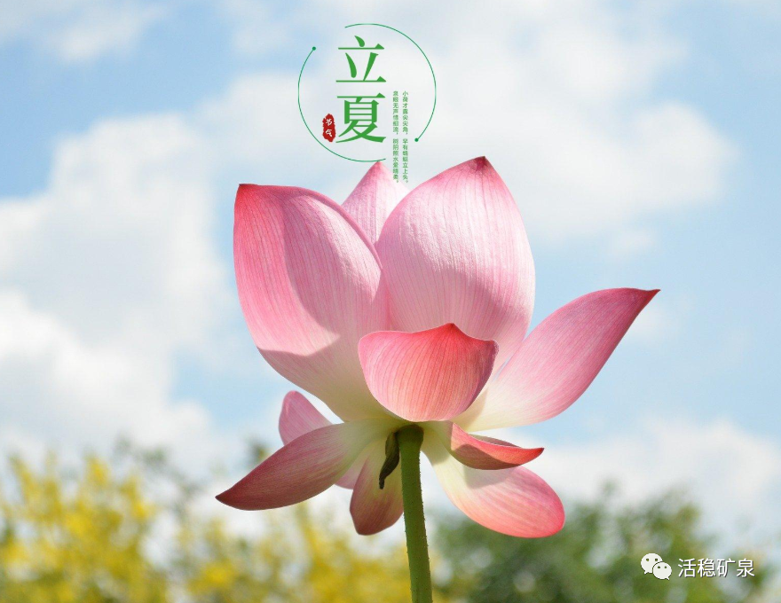 【立夏】二十四节气