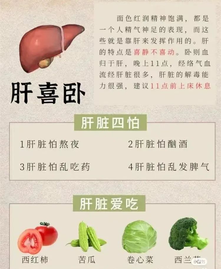 读懂人体8大器官的“喜与恶”，养出健康好身体
