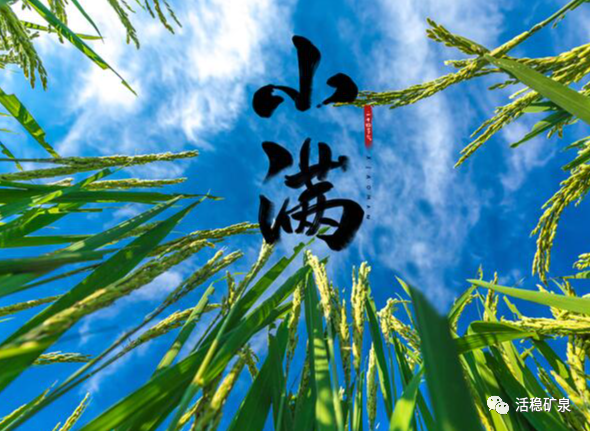 【小满】二十四节气