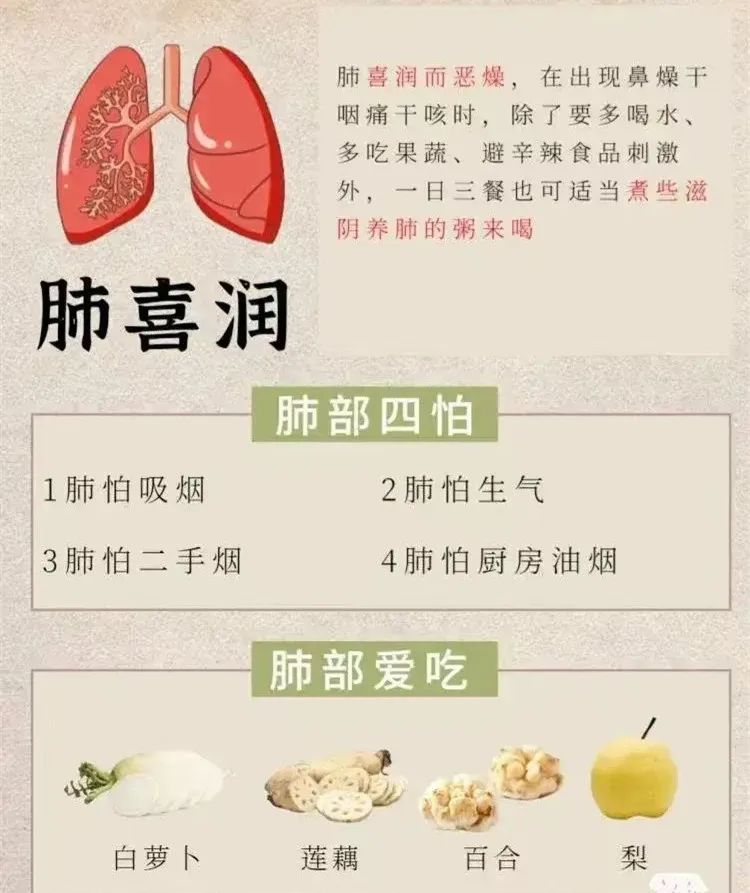 读懂人体8大器官的“喜与恶”，养出健康好身体