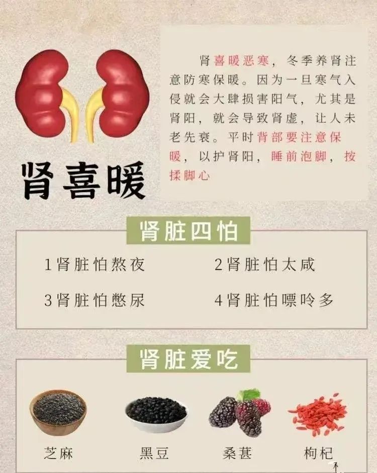 读懂人体8大器官的“喜与恶”，养出健康好身体