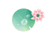 【夏至】夏至夏至丨盛夏已至