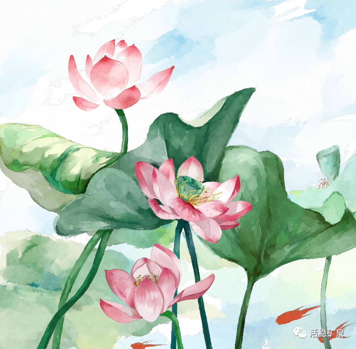 【夏至】夏至夏至丨盛夏已至