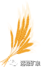 芒种丨时雨及芒种，风动夏日长