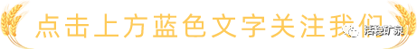 芒种丨时雨及芒种，风动夏日长