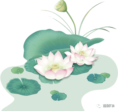【夏至】夏至夏至丨盛夏已至