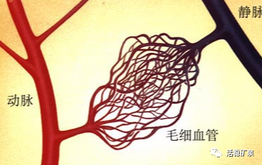 高血压的罪魁祸首不只吃盐太多，是喝水太少！