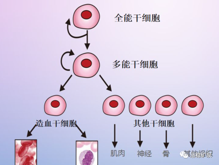补水就是防病、喝水等于救命……【每天一个冷知识系列（5）】