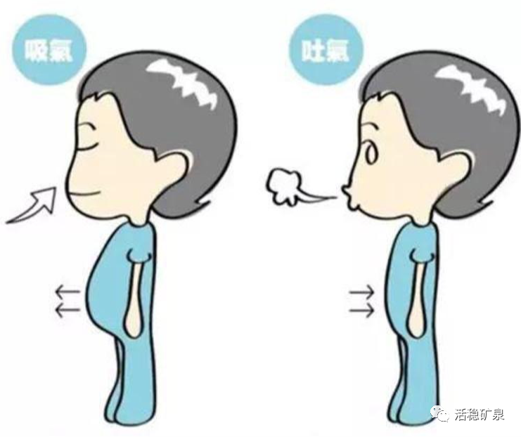 秋天养肺正当时！五招止咳润肺，不受燥咳困扰！【每天一个冷知识系列（11）】