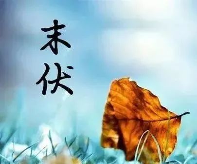 【末伏】小心“秋老虎”！