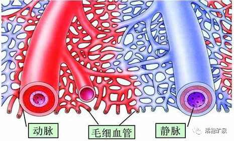 水与慢性病防治的关系…忽视的后果很严重！【每天一个冷知识系列（6）】