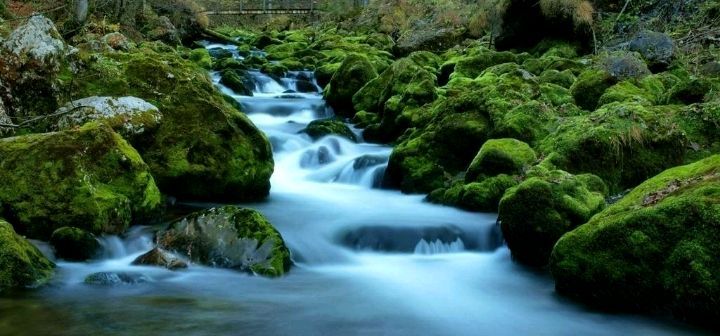 我们常喝的水，要讲究“水气”！你知道什么事“水气”吗？