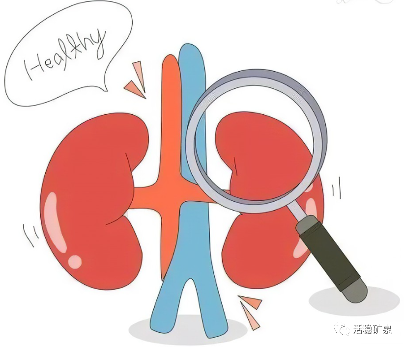 气血不足，五脏皆病！经常“洗”五脏，气血才两旺！【每天一个冷知识系列（8）】