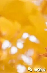 明日【秋分】二十四节气