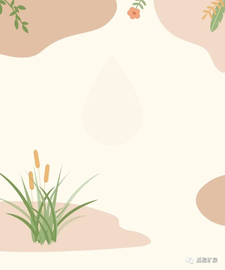 【二十四节气之白露】蒹葭苍苍丨白露为霜