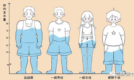 坚持喝白开水30天外貌产生巨大变化~【每天一个冷知识系列（13）】