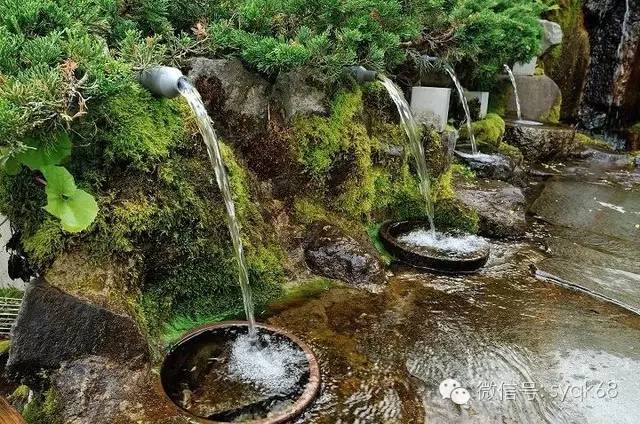 “水中黄金”偏硅酸【每天一个冷知识系列（20）】