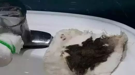 一块纱布就可以检测水质好坏！水厂说符合标准，何不亲自试一下【每天一个冷知识系列（40）】