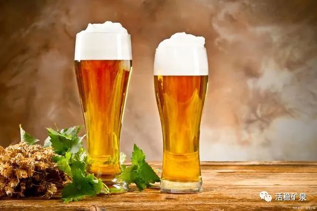 长期每晚一瓶啤酒，身体会有哪些变化？医生为您揭晓答案【每天一个冷知识系列（60）】