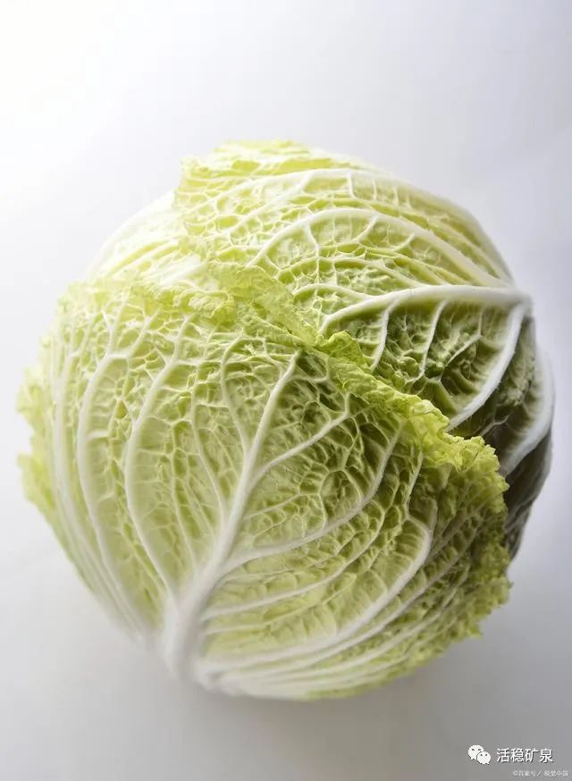 冬季一些自带平肝风功效的食物有哪些？【每天一个冷知识系列（56）】