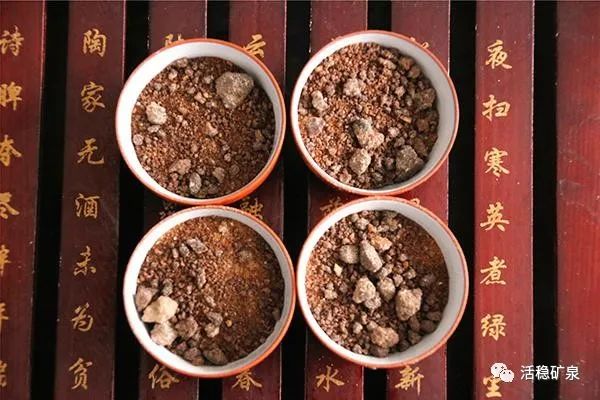 脸色暗黄的女生真的要多喝！每周当奶茶喝2次，收获惊喜！【每天一个冷知识系列（63）】