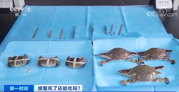 螃蟹死了还能吃吗？吃不好有致命的可能！！！【每天一个冷知识系列（59）】