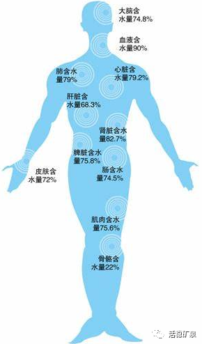 一杯水的“旅程”经过多少站点你知道吗？【每天一个冷知识系列（80）】