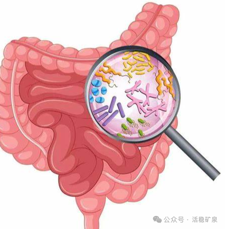 肠道“润滑剂”公布，香蕉不在其中，常吃为肠道健康加分！【每天一个冷知识系列（105）】