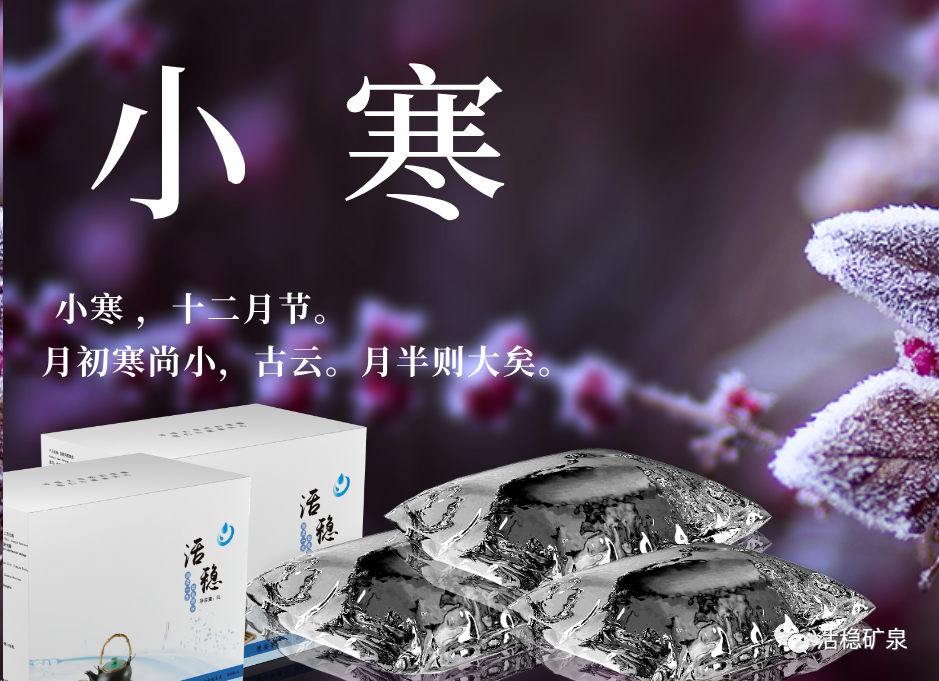 【小寒】踏雪寻梅丨年味渐浓