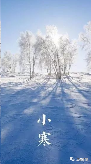 【小寒】踏雪寻梅丨年味渐浓