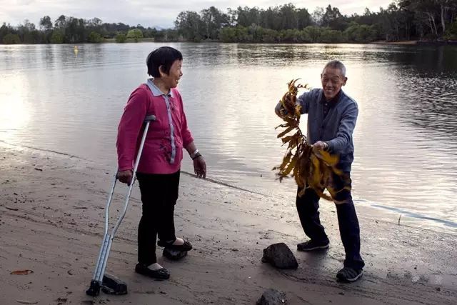 70岁患癌老人被儿子骗出国，从4000米高空一跃而下…【每天一个冷知识系列（91）】